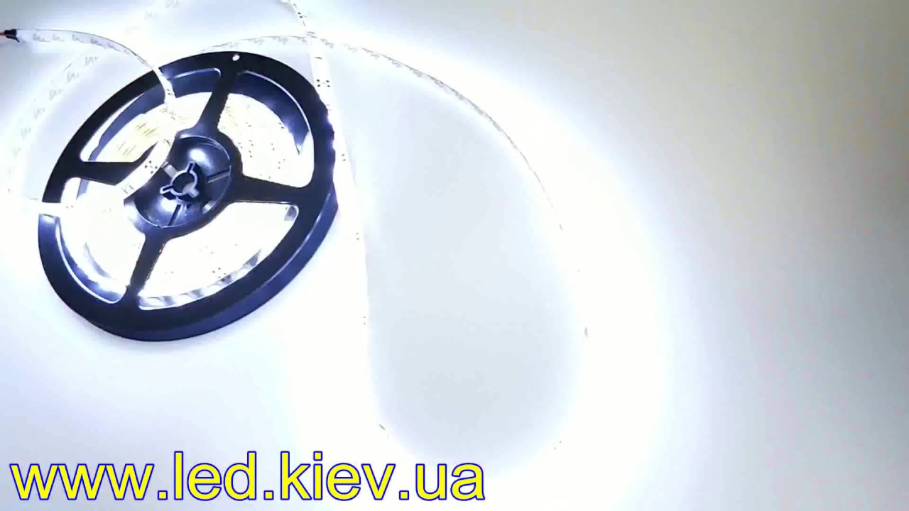Распродажа светодиодной ленты. Акция. SMD5050/60led/IP65/CW