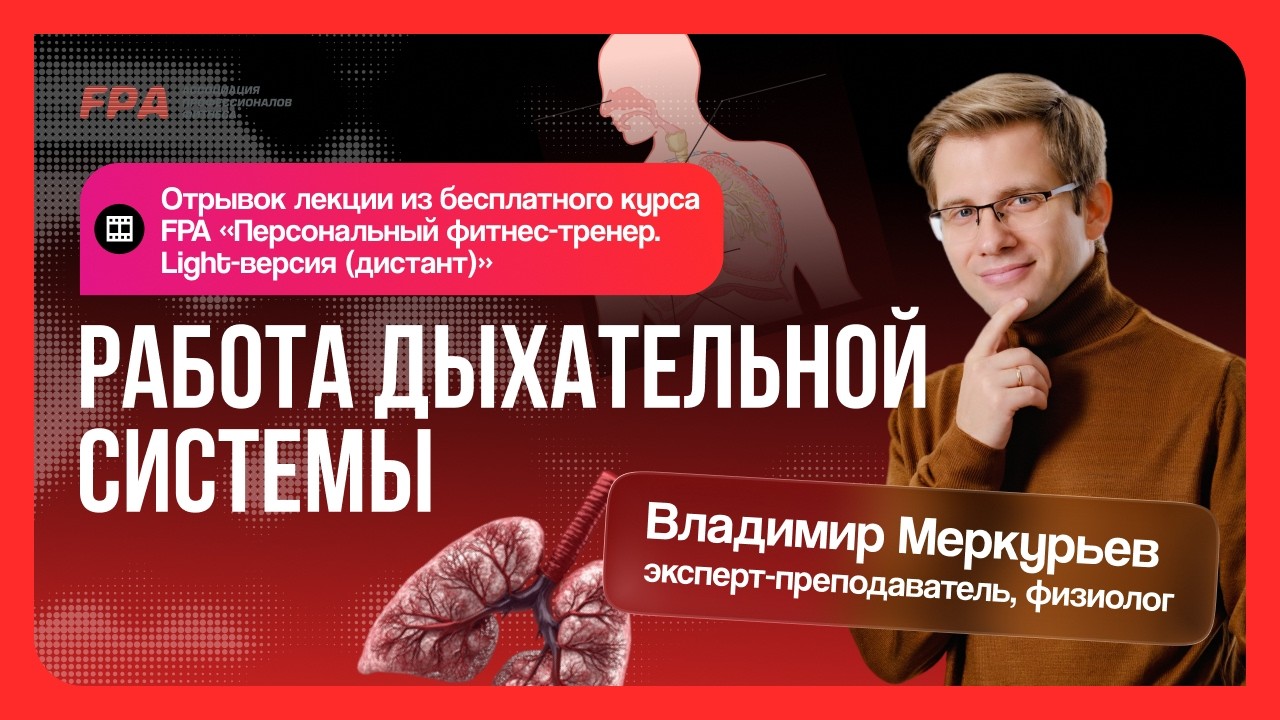 Работа дыхательной системы | Владимир Меркурьев (FPA) | Бесплатный курс «Персональный тренер»