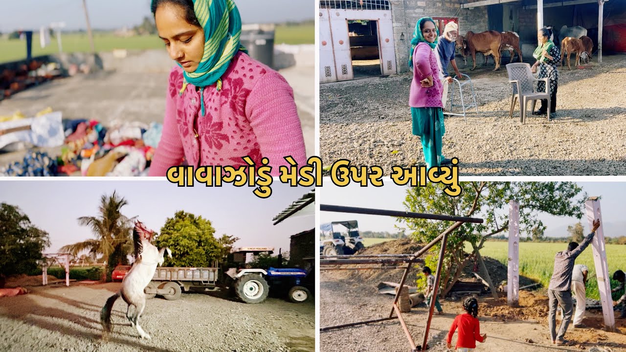 વાવાઝોડું મેડી ઉપર આવ્યું||ઘોડી ની ટ્રેનિગ સાલું||