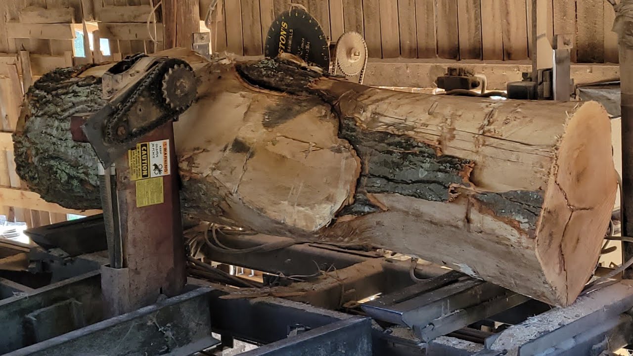 Sawing red oak #58