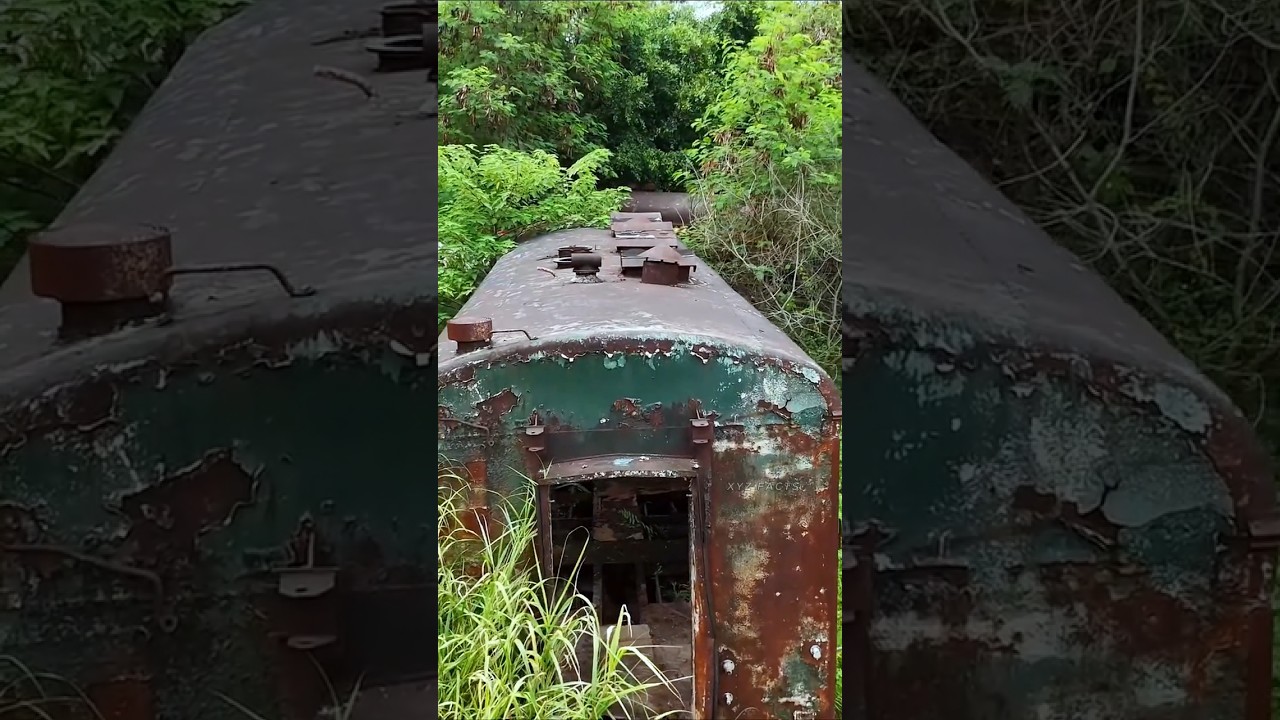 Why China Abandoned These Trains ?