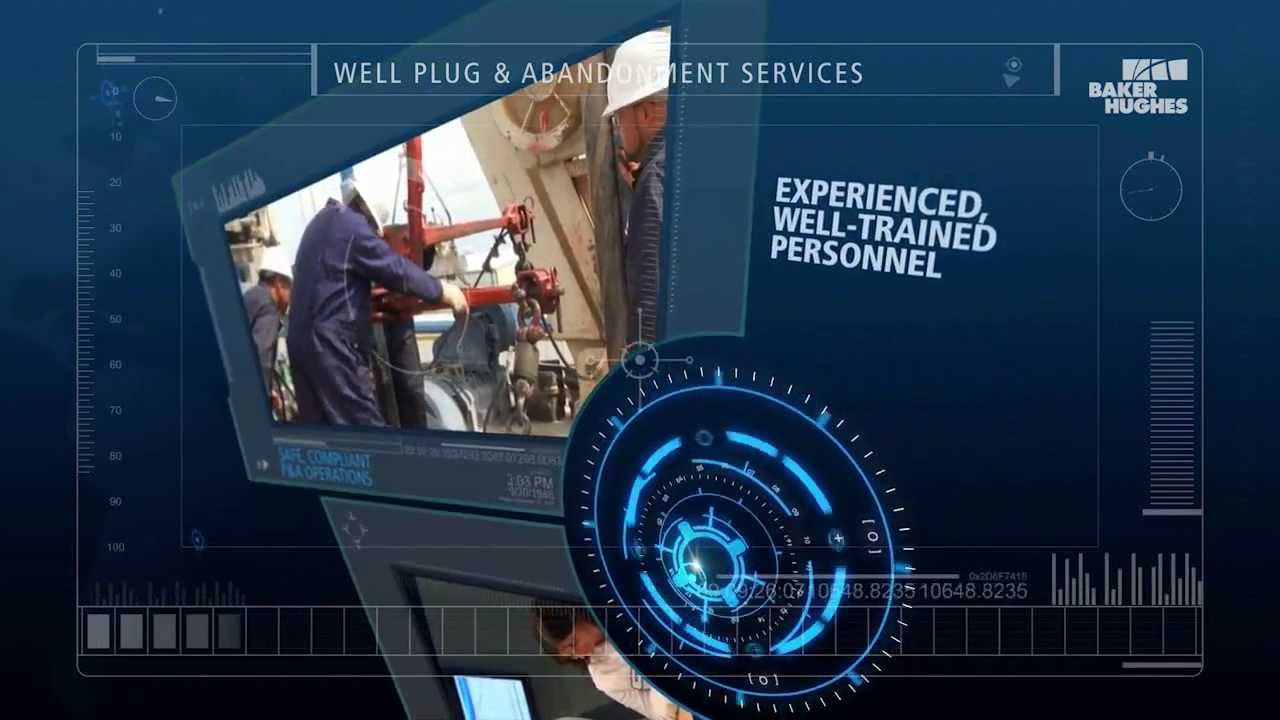 Well Plug and Abandonment Services