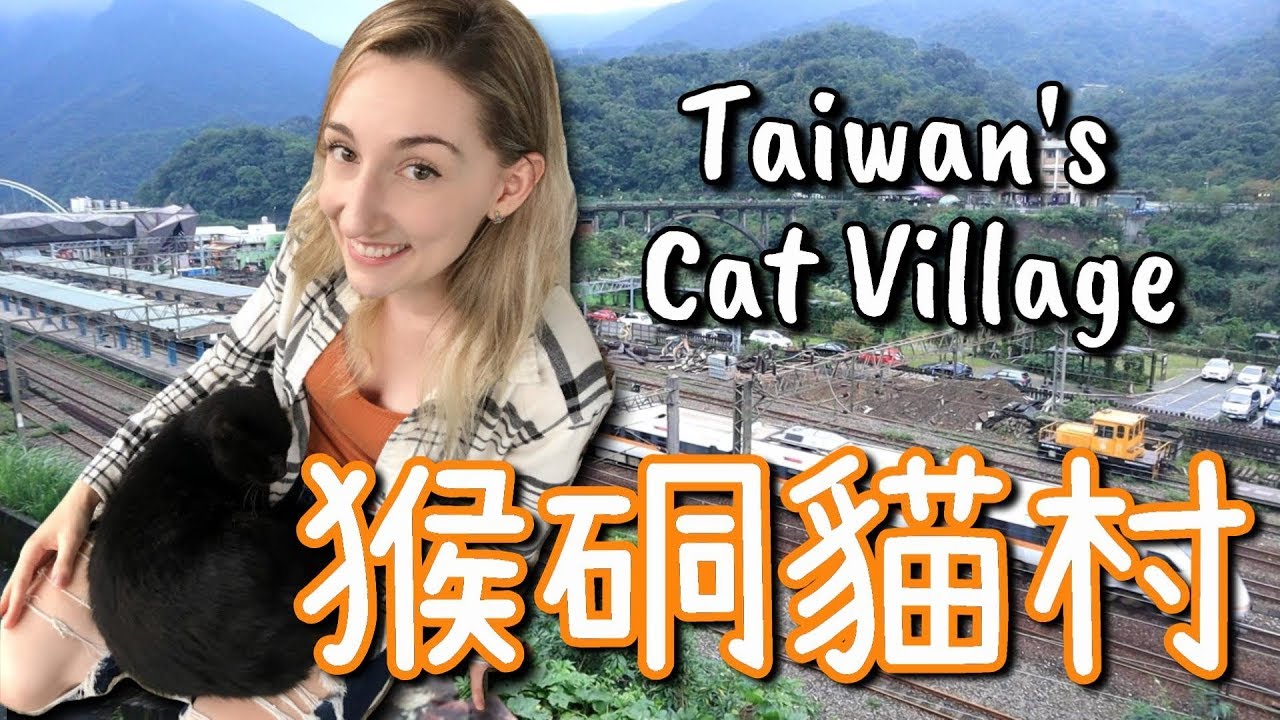貓咪天堂！加拿大女孩拜訪猴硐貓村 | Taiwan's Cat Village (Houtong)