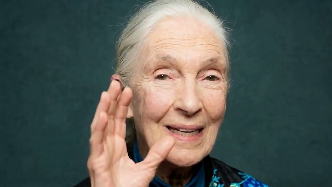 An AI Tribute to Jane Goodall: Hope, Action, and Our Shared Home