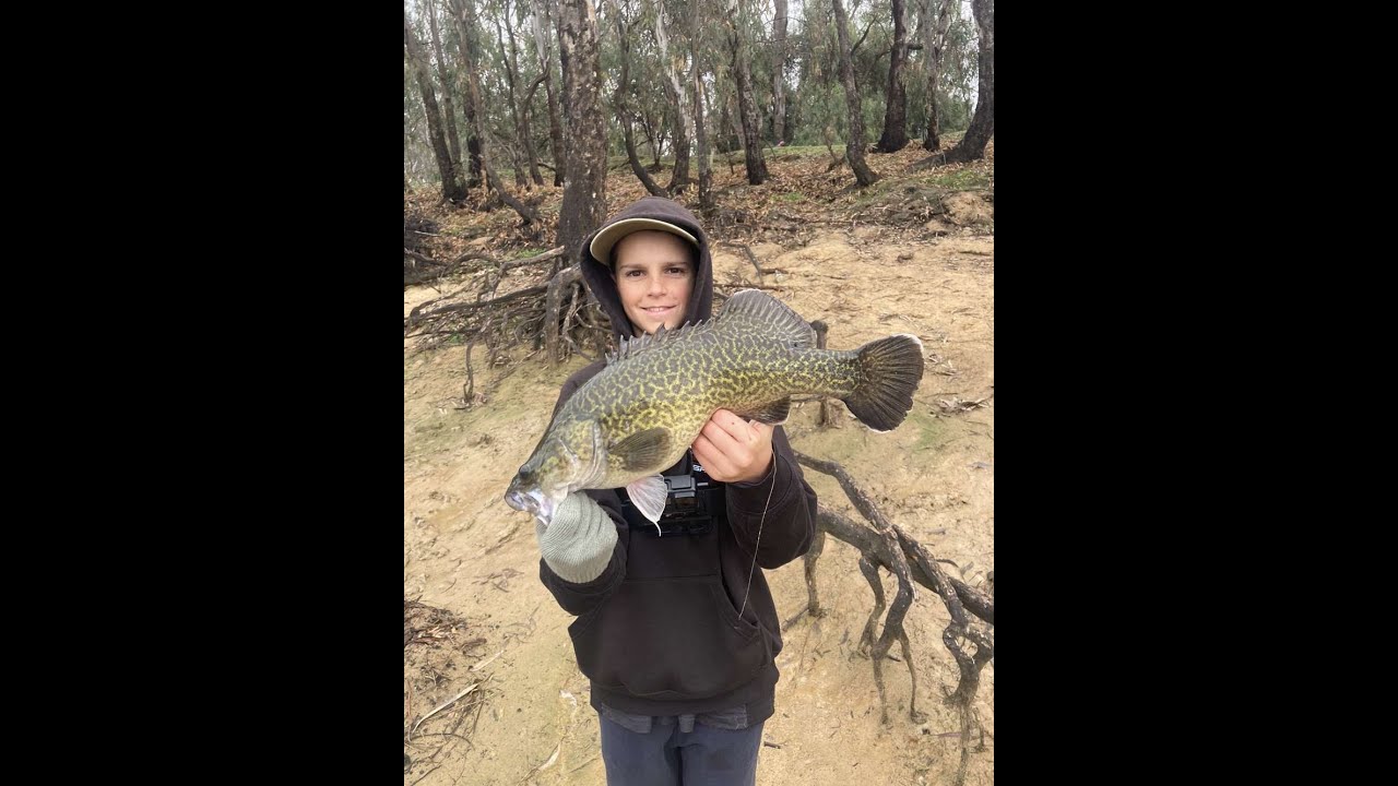 Fishing Lake Mulwala for Murray Cod (Mini Drawdown)