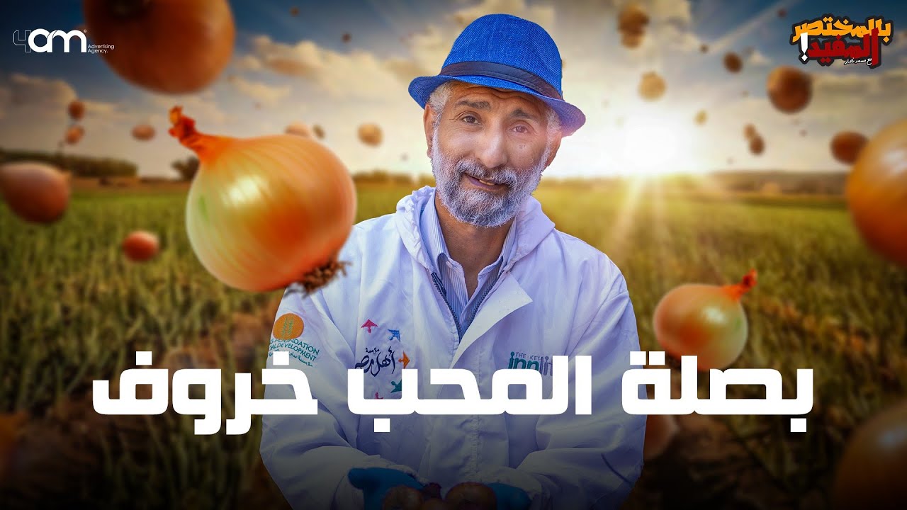 زراعة البصل من البداية حتى الحصاد ( الشتل - الري - الرعاية - التسميد )