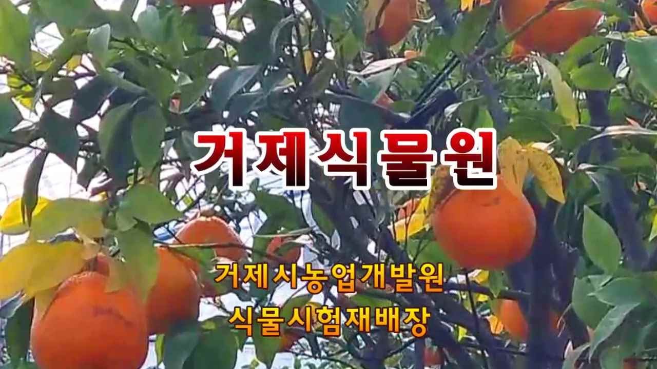 거제시농업개발원 식물원은 온실에 수많은 식물과 과수들이 재배되고 있습니다. 자생란전시관, 야생화전시관, 열대식물관, 과수시험재배장, 곤충생태체험관 등이 있습니다.