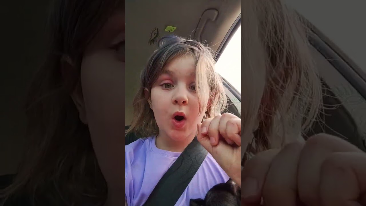Street Safety Song | Learning With Ms.Houston