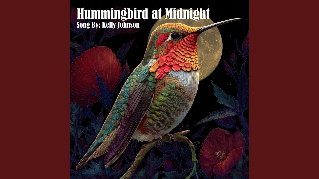 Hummingbird at Midnight