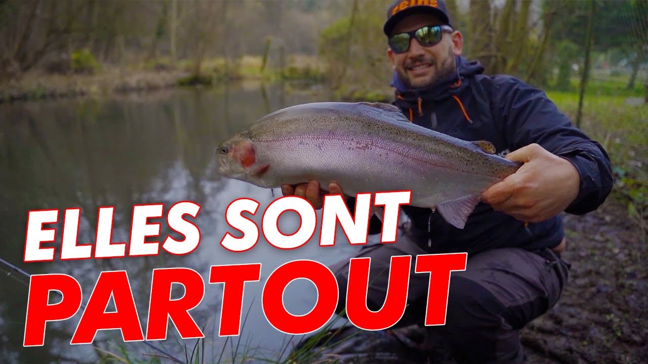 Trouver les truites GÉANTES en réservoir 🏆