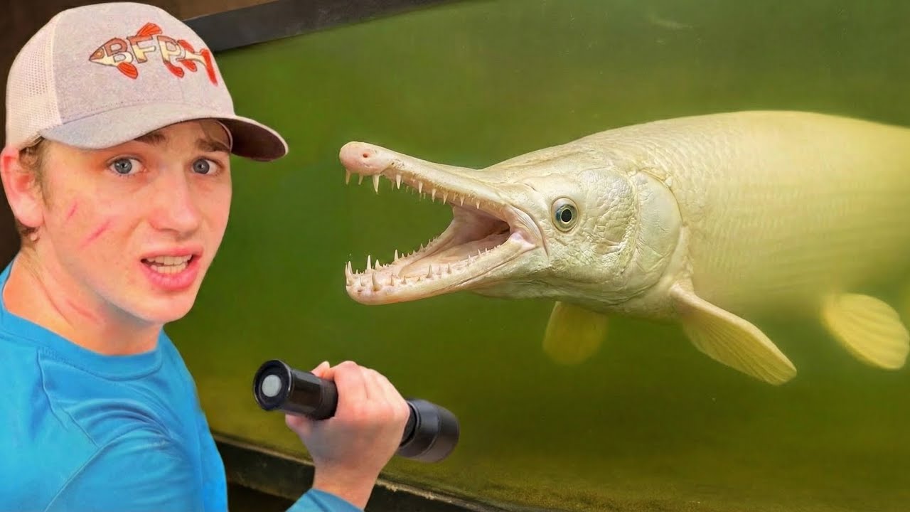 Ich habe den seltensten Fisch der Welt gekauft!