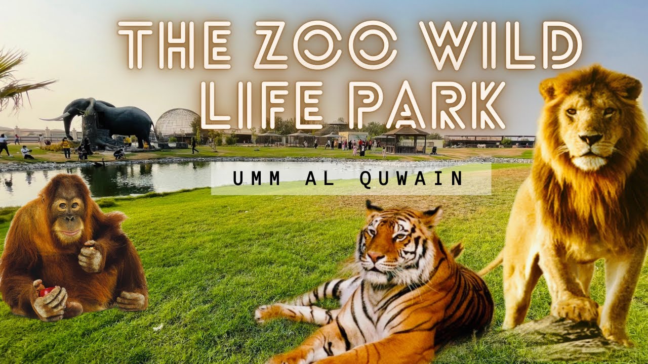 Umm al quwain zoo | The zoo wild life park, Umm al quwain , UAE