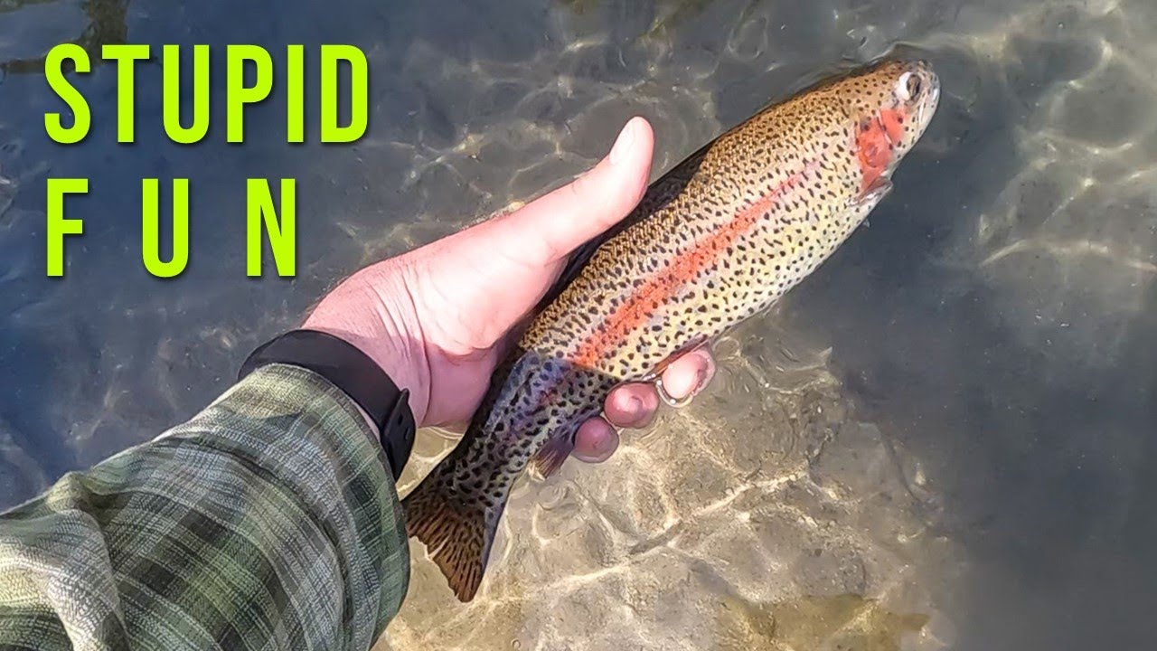 A Stupid Fun Day of Euro Nymphing for Rainbow Trout in Oregon