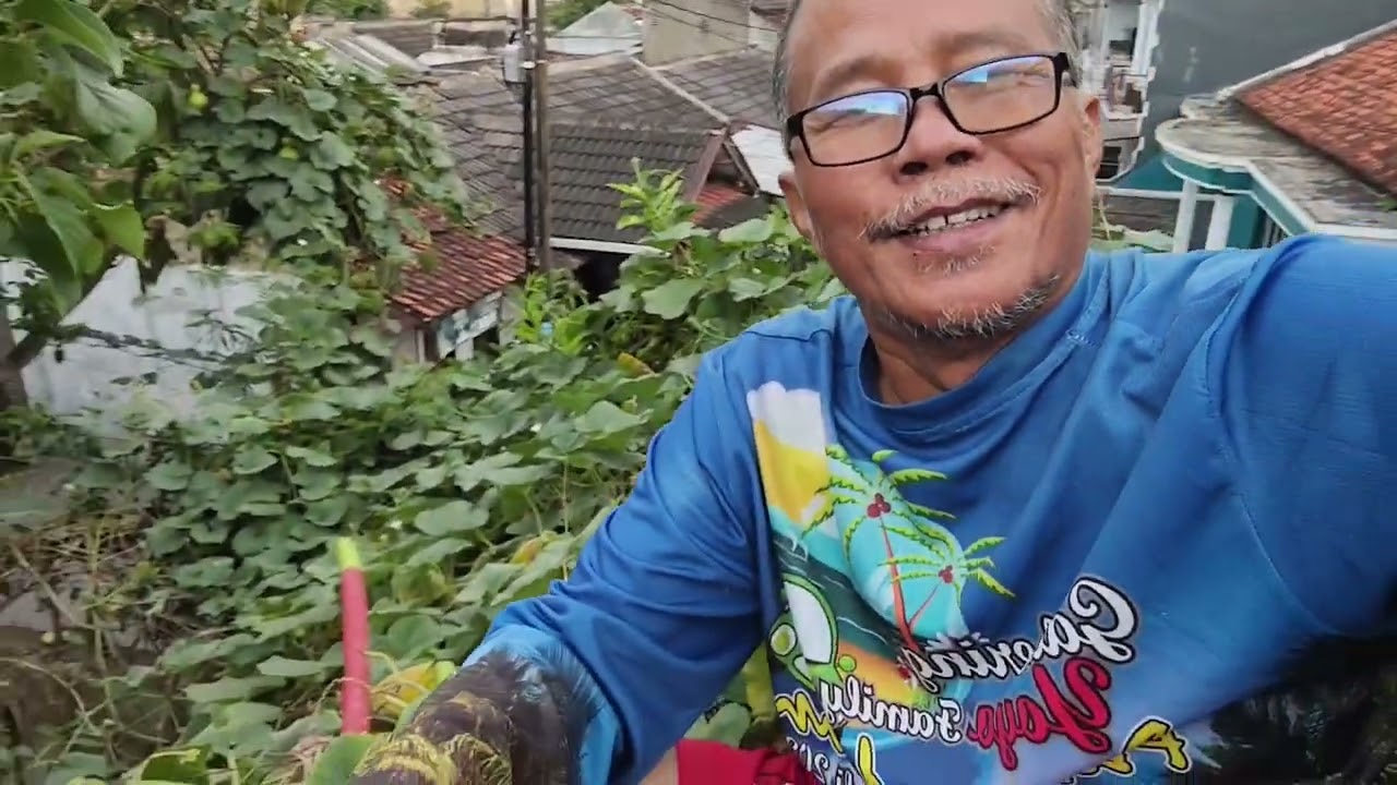 BUDI DAYA LABU KUKUK DI PEKARANGAN