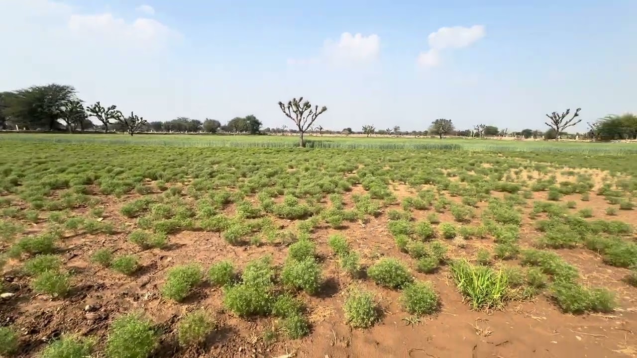 Farming￼ life…🌾|vlog, like, share, subscribe| 