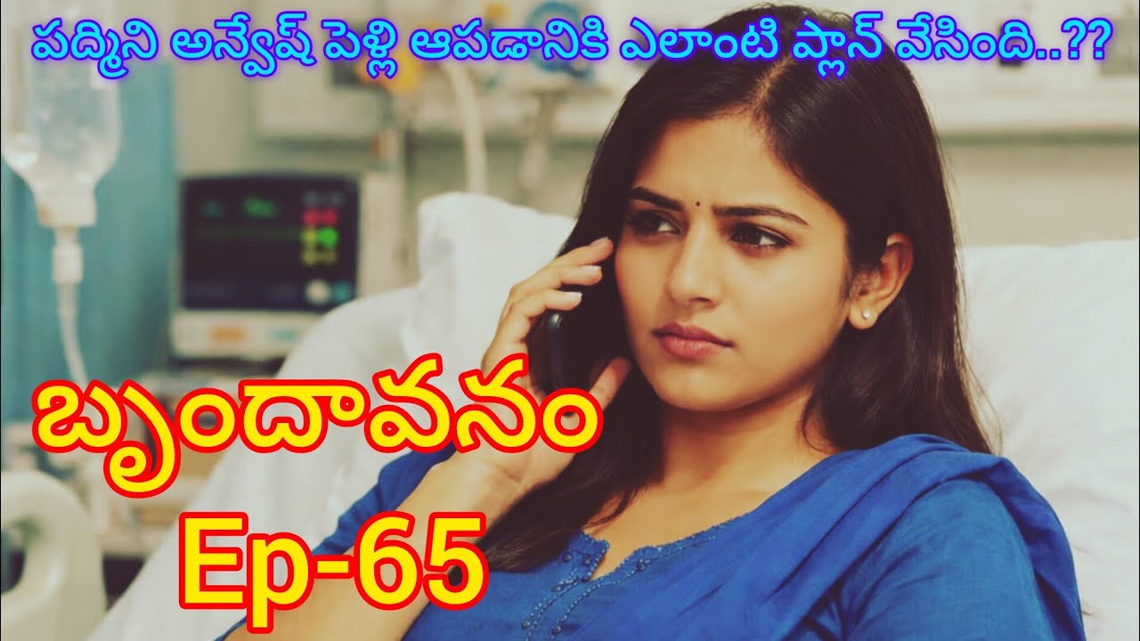 బృందావనం-65 పద్మిని రాగిణి అన్వేష్ ,అమృత పెళ్లి ఆపడానికి ఏమి చేయాలి అనుకుంటున్నారు.?