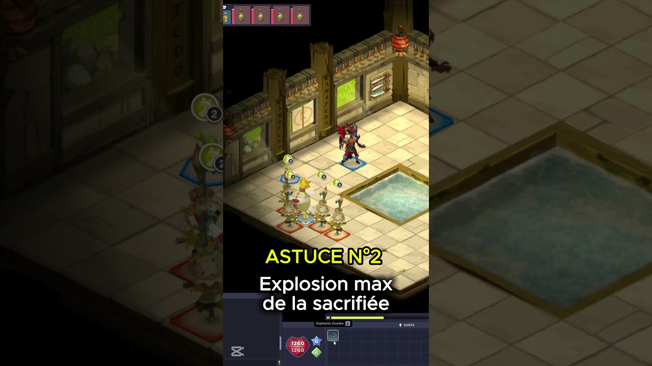 ASTUCES SADIDA : 3 Moves pour Maximiser vos dégâts et vos infections !