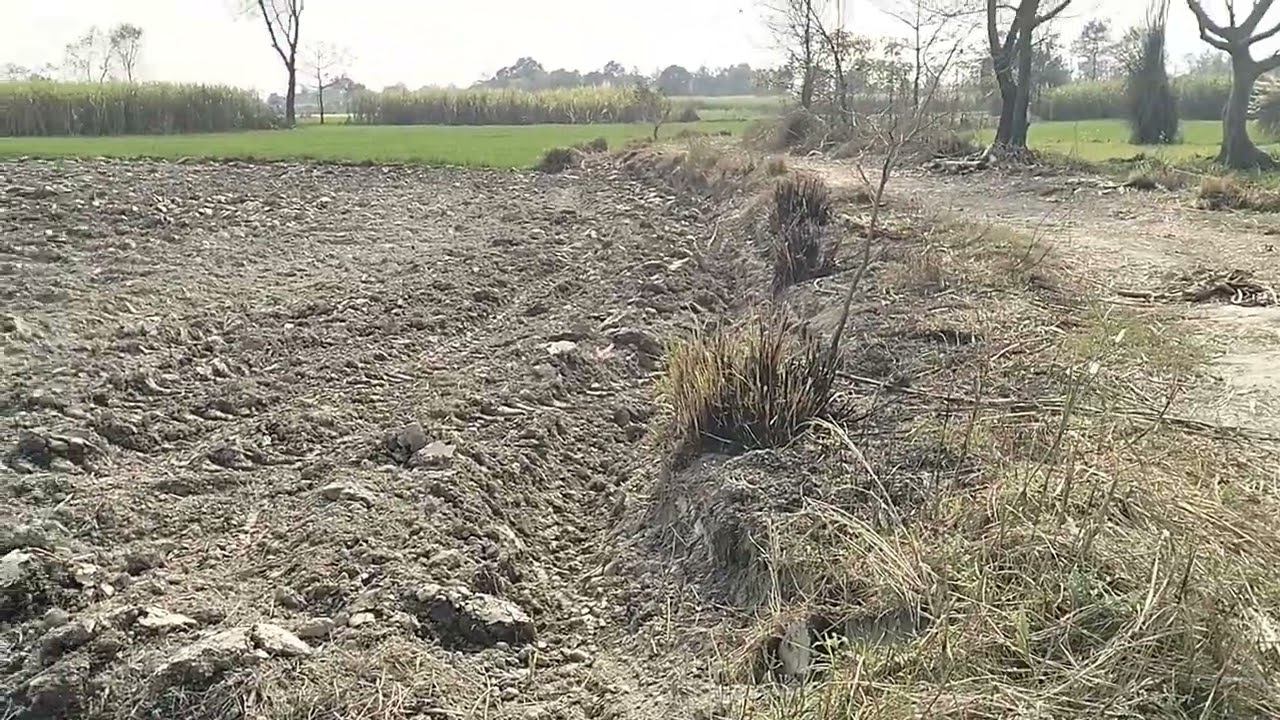 135 बीघा जमीन बिकाऊ है डिमांड 1. लाख 80000हाजार प्रती बीघा मांग जिस भाई को लेना संपर्क 8090291079