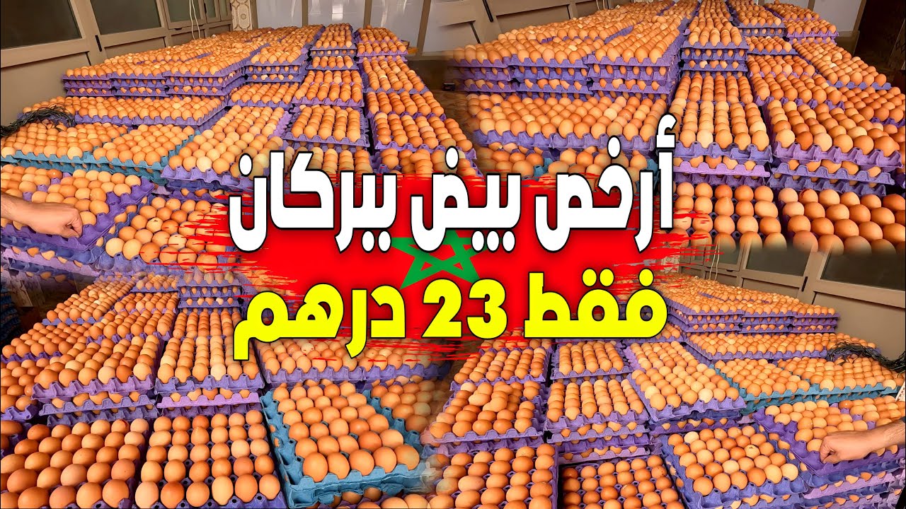 البيض فقط بـ 23 درهم: بعدما كسر أسعار البيض بمدينة بركان وبعد الضجة الكبيرة مول البيض يعود بعرض أقوى