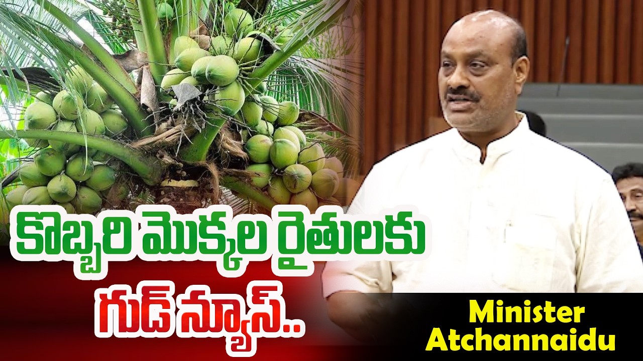 Good news for AP Coconut Farmers.. | Minister Atchannaidu | AP Assembly 2026 | Yellow Singam
