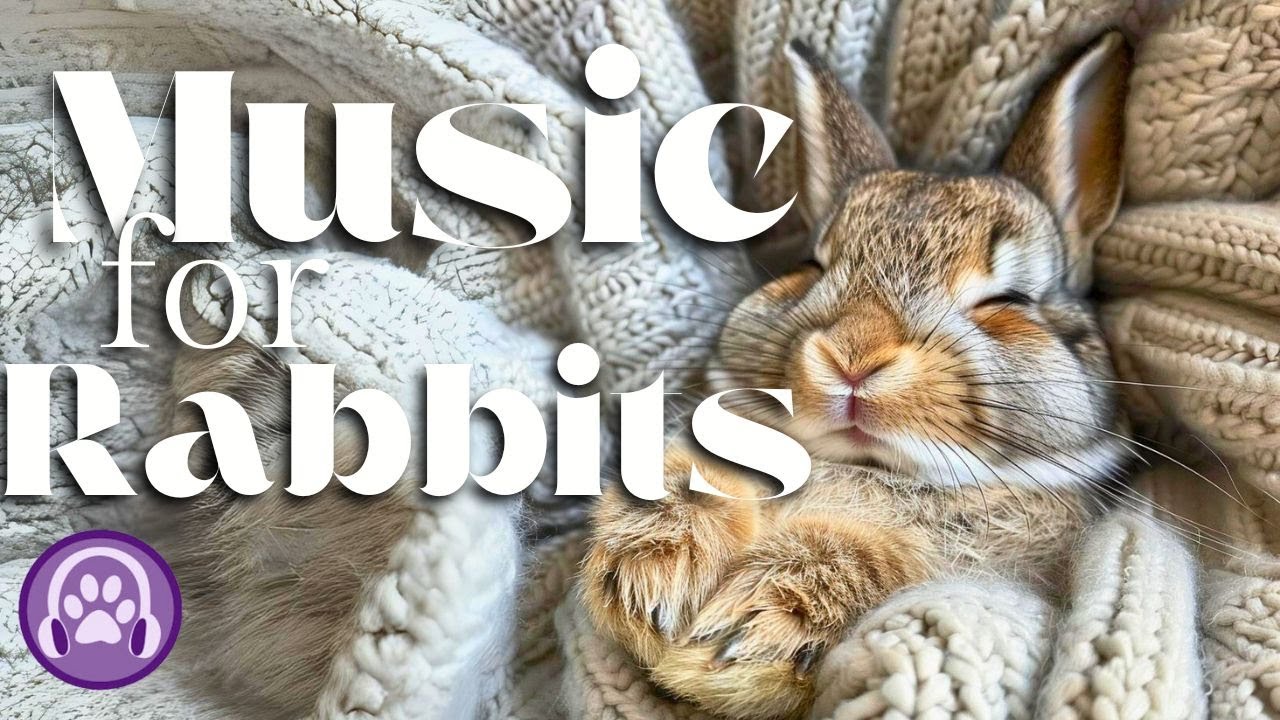 Music for Rabbits with Anxiety - Relaxing Lullabies