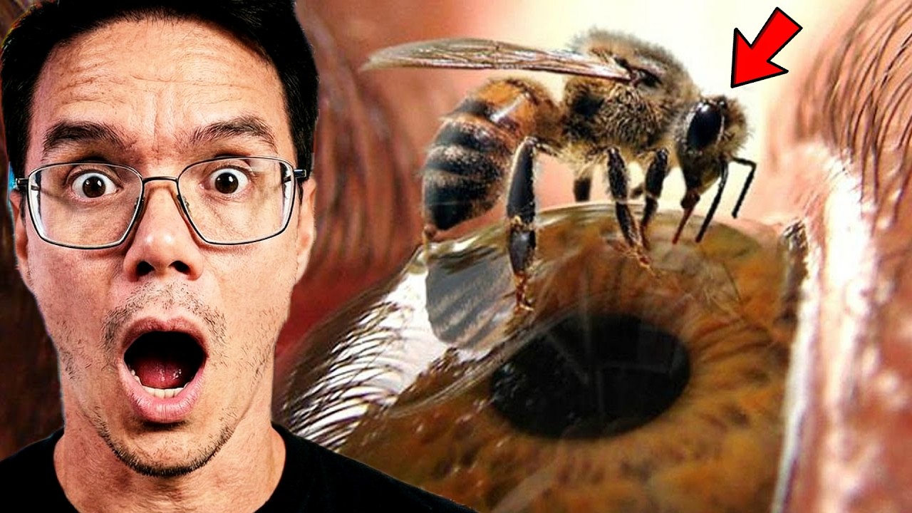 AS PIORES DORES QUE UM SER HUMANO PODE SENTIR - Peter Reage