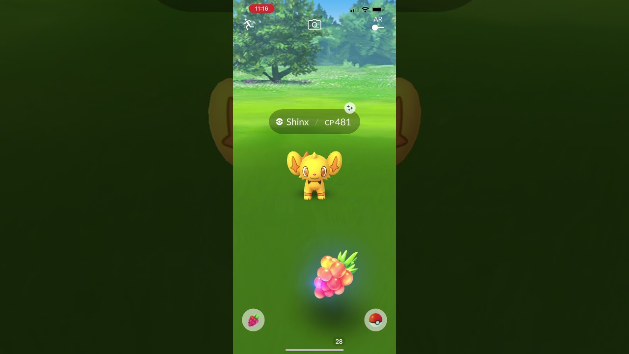 Shiny Shinx in Pok&eacute;mon GO!
