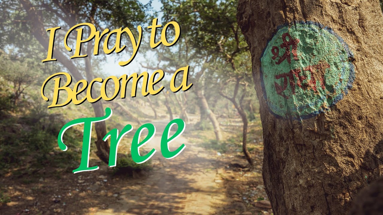 I Pray To Become a Tree | ISKCON Vrindavan