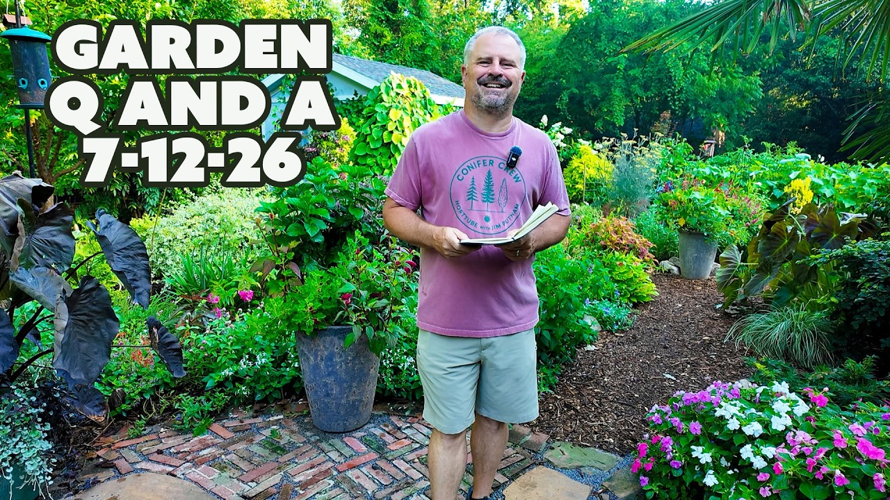 Why Insects Don't Eat Healthy Plants - Garden Question and Answer