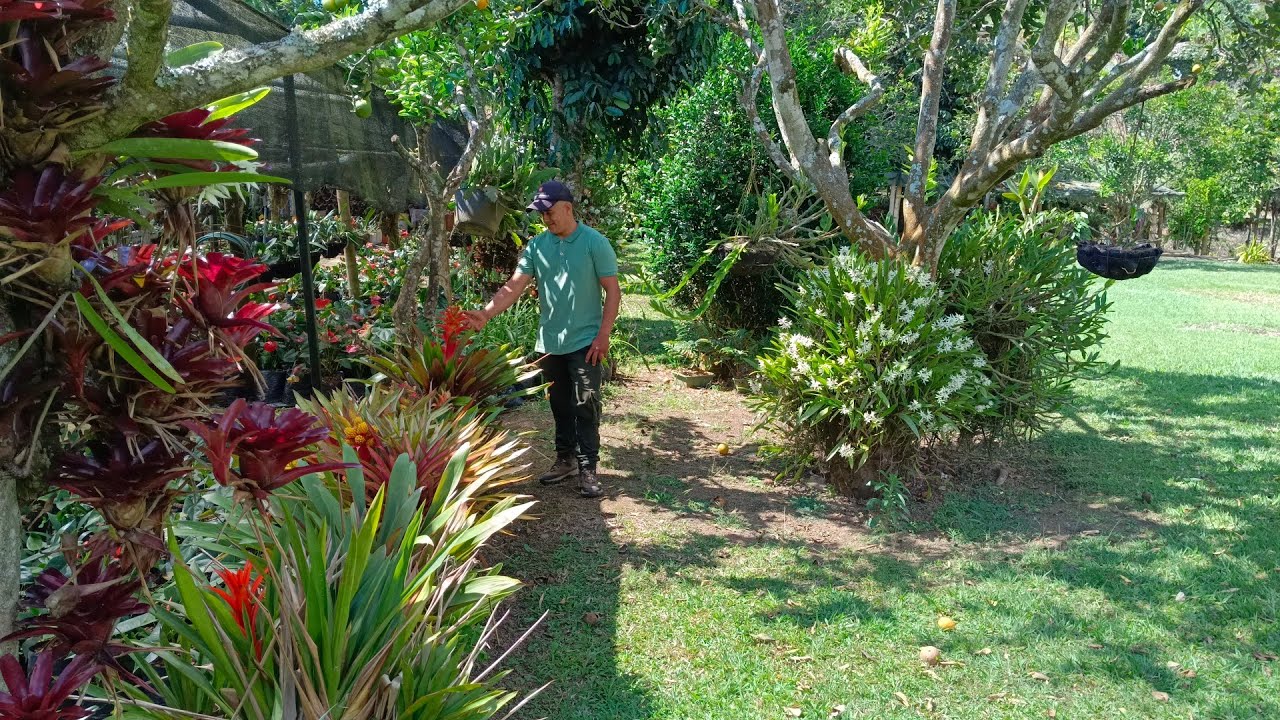 El jardín de Nancy está lleno de mucho amor en cada planta que vemos,  Colombia.