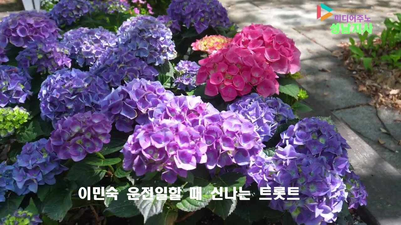이민숙 운전일할 때 신나는 트롯트    촬영편집 미디어주노 성남지사 가요트롯tv 홍재종 감독 구독 좋아요