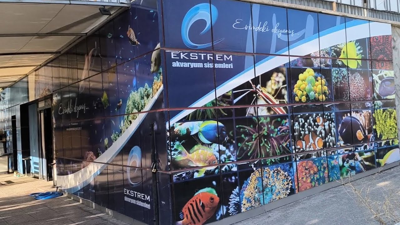 Ekstrem Akvaryum Ankara Ziyareti 28.09.2024