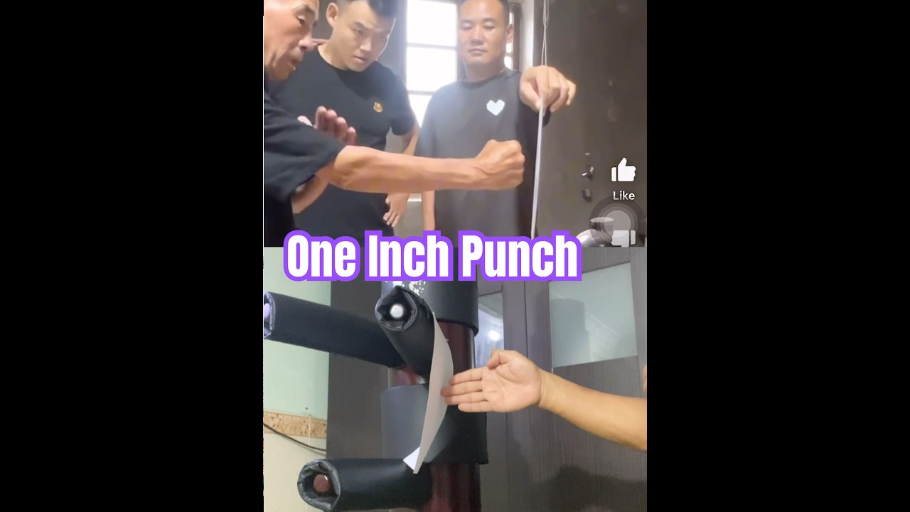 One inch punch | paper breaks #kungfu #martialarts #wushu #shaolin #karate #hapkido #brucelee #ipman