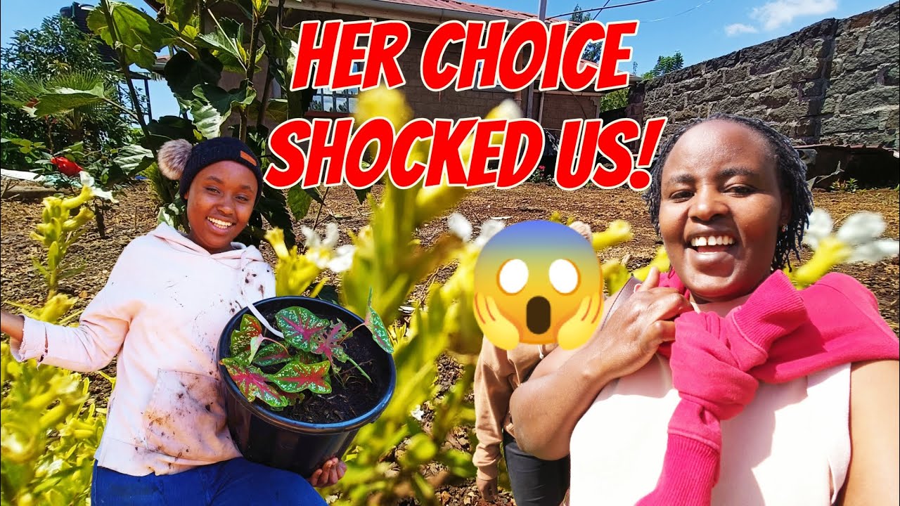 🔥 AMAZING TRANSFORMATION😱 in Our Homestead! 🌸✨ Thanks to My Daughter!