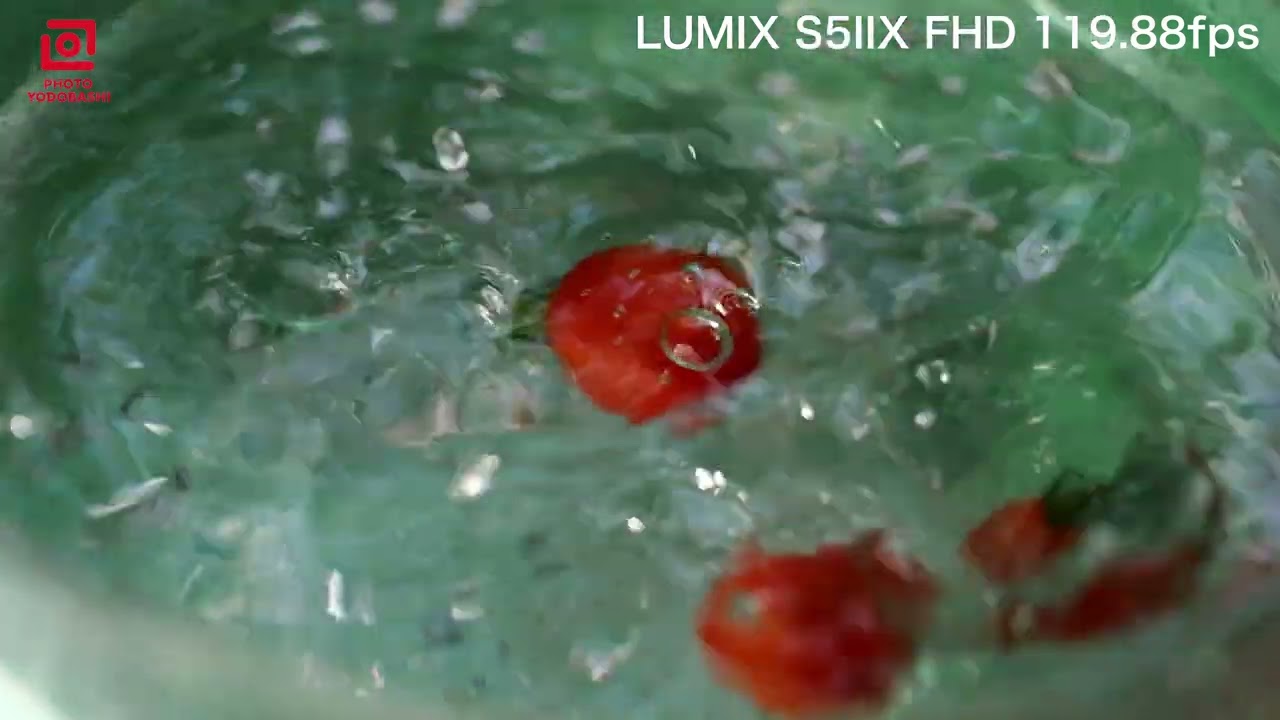 LUMIX 50SIIX | SHOOTING REPORT
