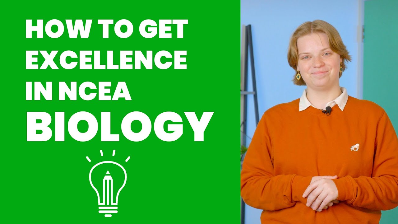 How to Get Excellence in NCEA Biology | StudyTime NZ