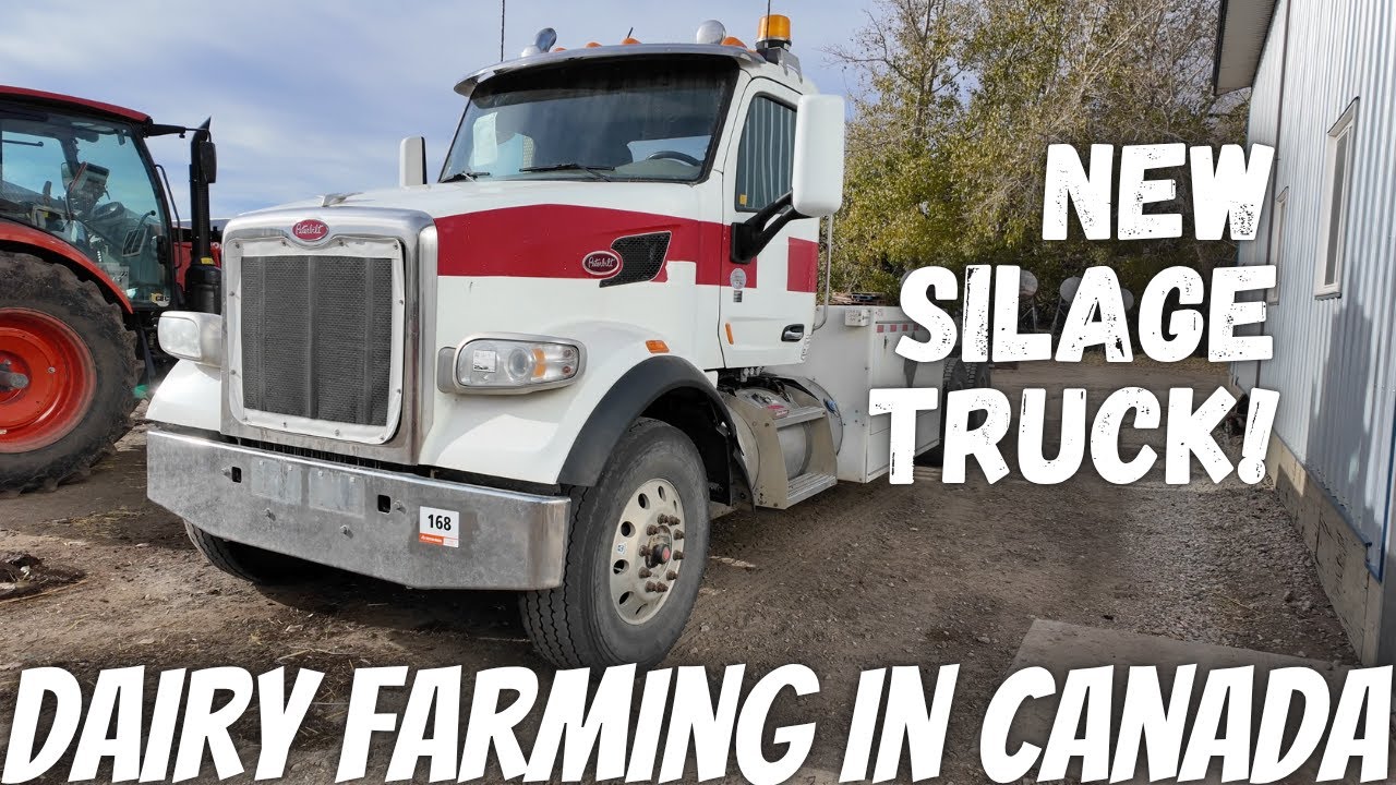 Мы купили Peterbilt!