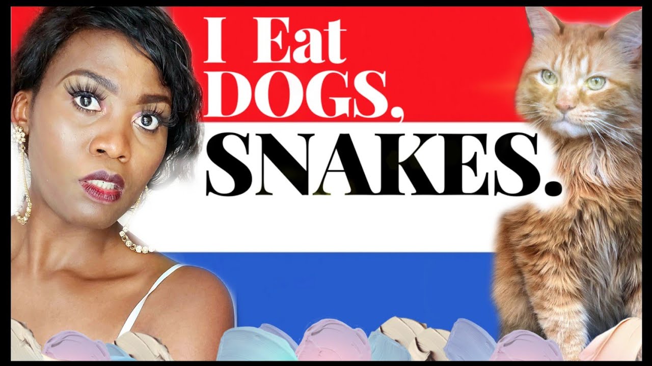 DUTCH CULTURE SHOCK #5 Missing Animals Posters On The Streets Of The Netherlands #BlessingNjohVlogs