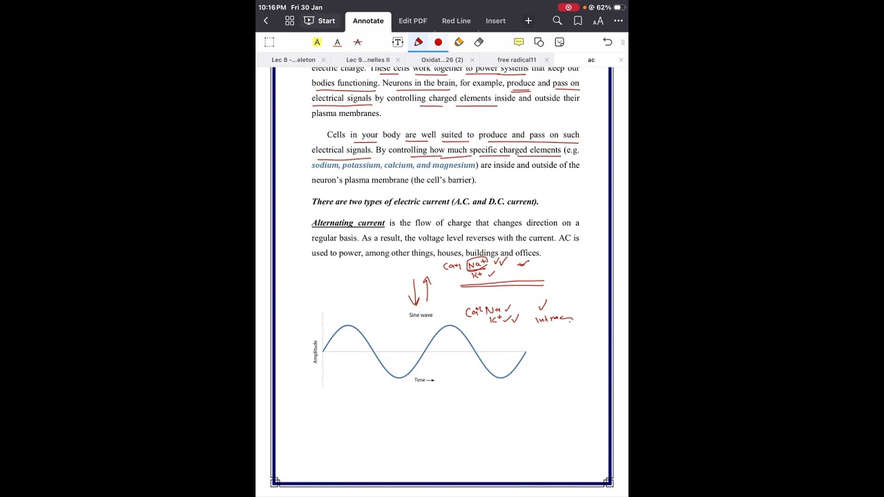 Medical physics 1