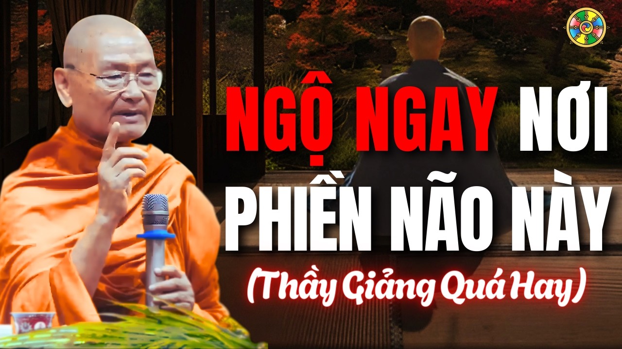 Ngộ Ngay Nơi Phiền Não Này - Bài Giảng Quá Hay từ Thầy Viên Minh
