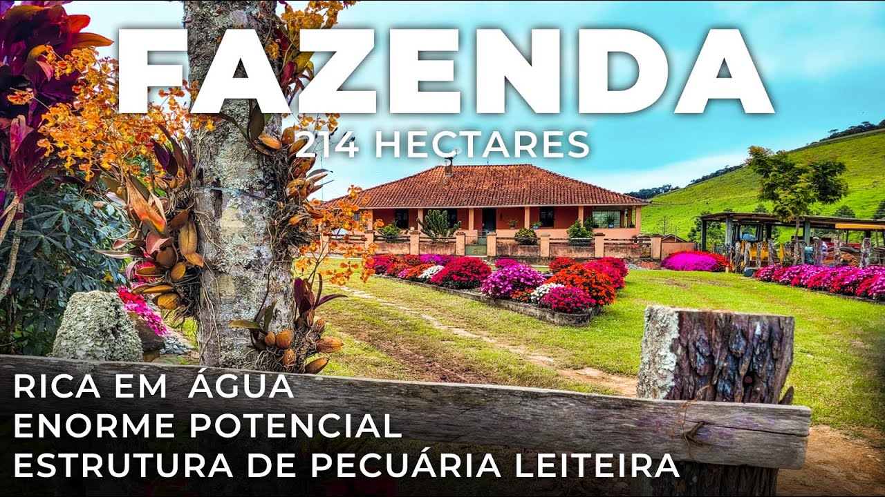 FAZENDA PORTEIRA FECHADA, 214 HECTARES | R$ 4.5 MILHÕES