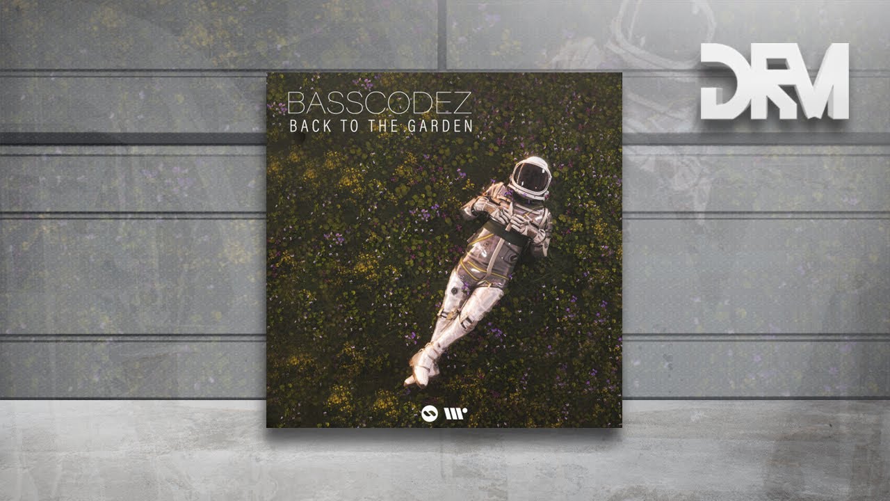 Basscodez - Pull Me Down [DNBB Records]