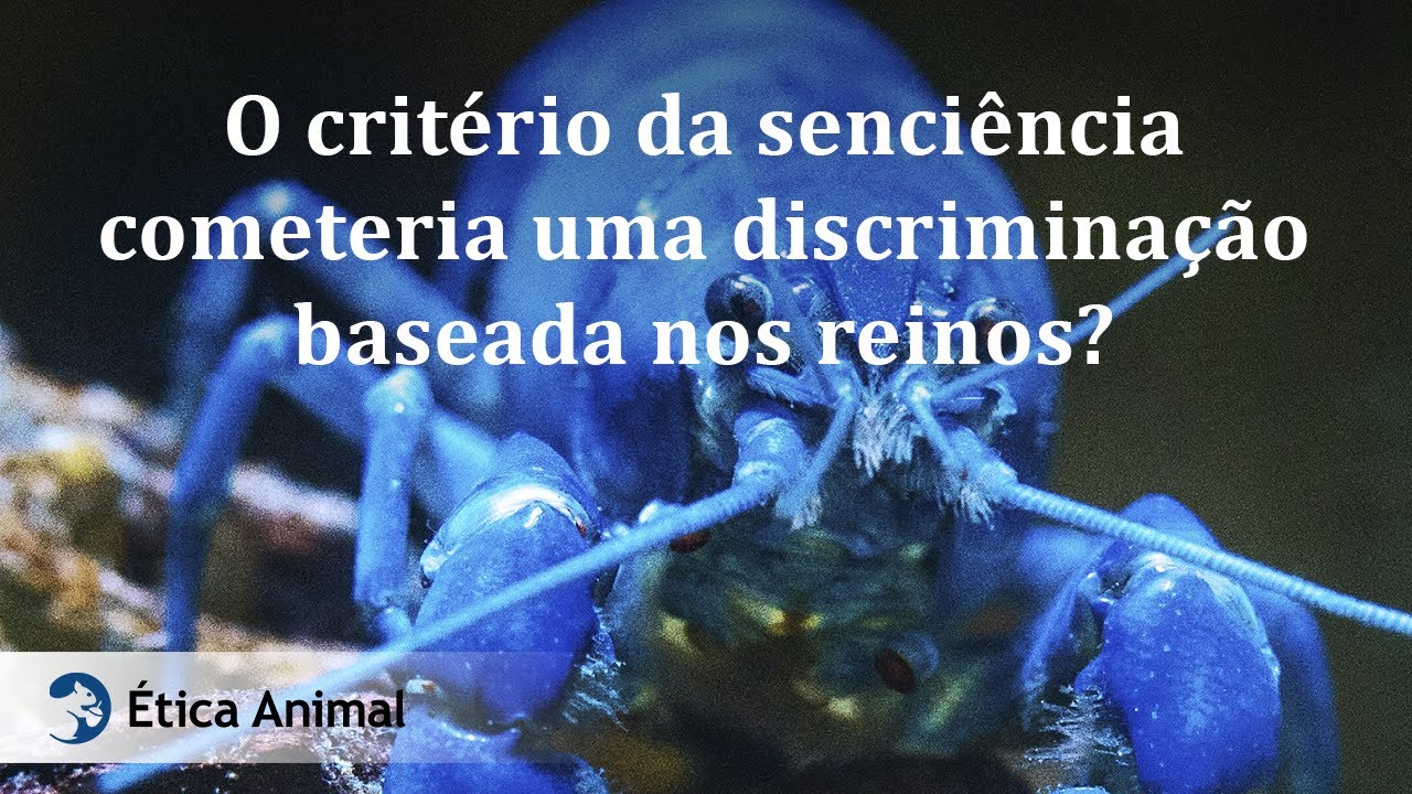 26 - O critério da senciência cometeria uma discriminação baseada nos reinos?