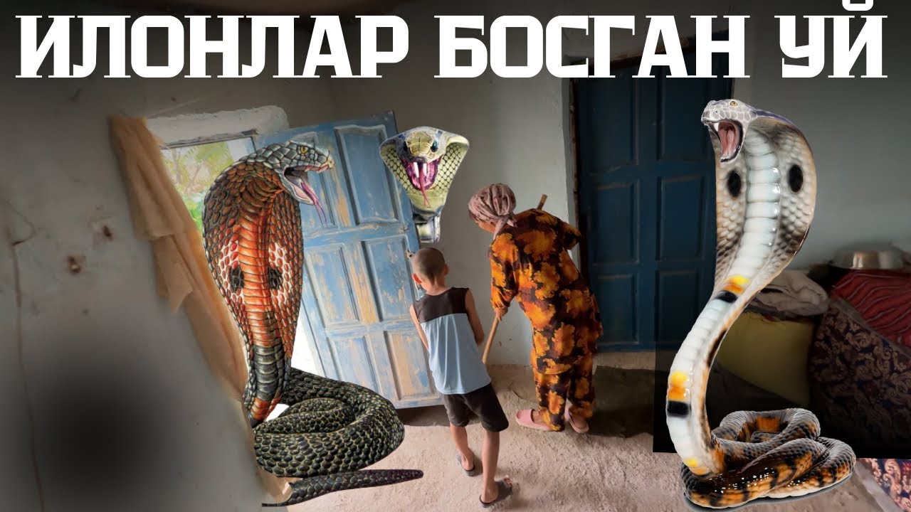 ИЛОН БОСГАН УЙ ДАХШАТ😱