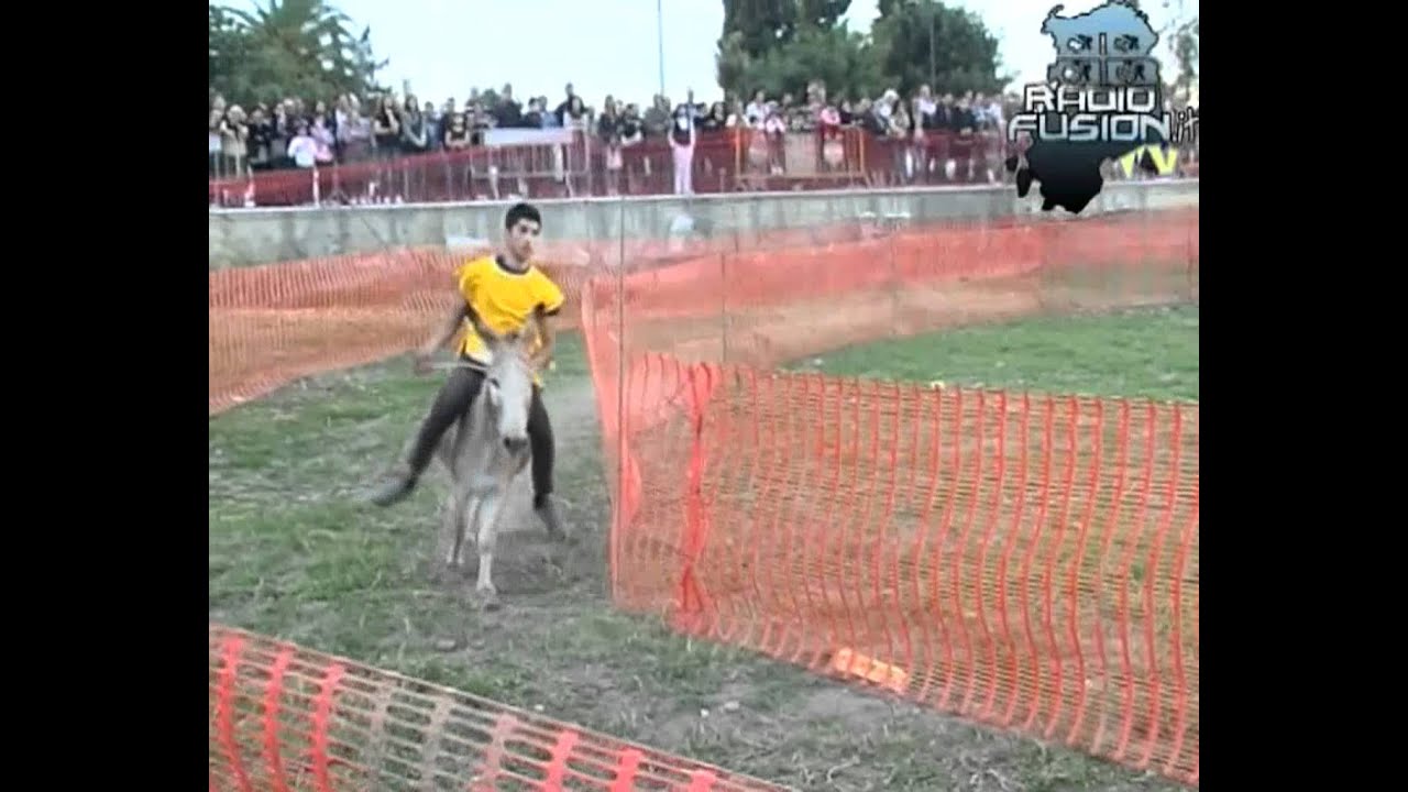 1° Palio degli Asinelli - 1° Torneo Sa Murra città di Dolianova