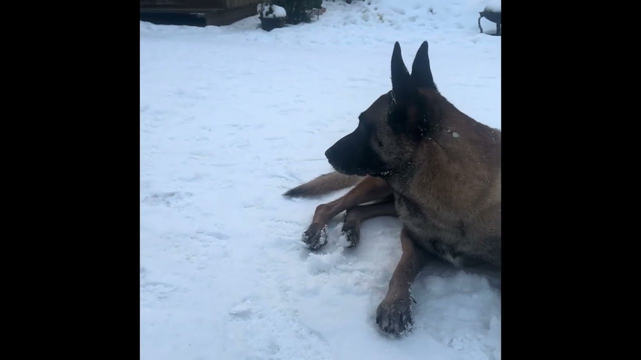 I love ❤️ snow 