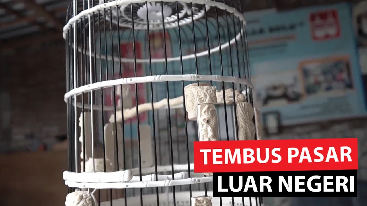 Pembuatan Sangkar Burung Dari Paralon Bekas, Satu-satunya di Indonesia