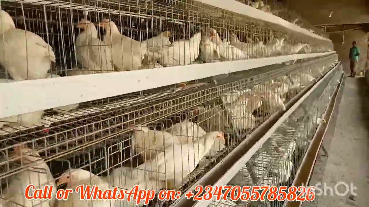 Visit customers farm after installation and they were happy