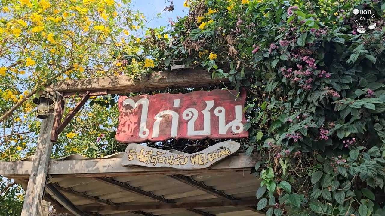 ครัวไก่ชน อาหารไทยพื้นบ้านปลาแม่น้ำสดๆ ร้านลับป่าโมก อ่างทอง