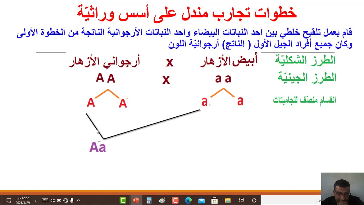 تجارب مندل على أسس وراثيّة